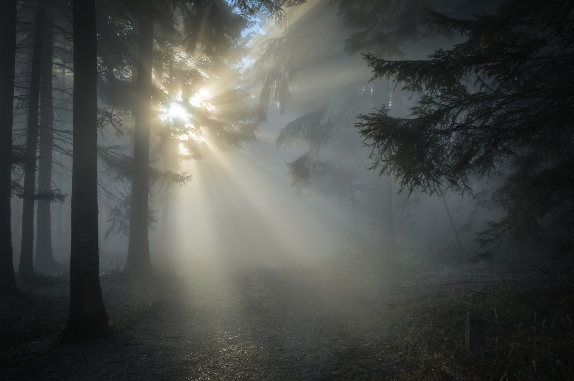 Walk as Children of Light