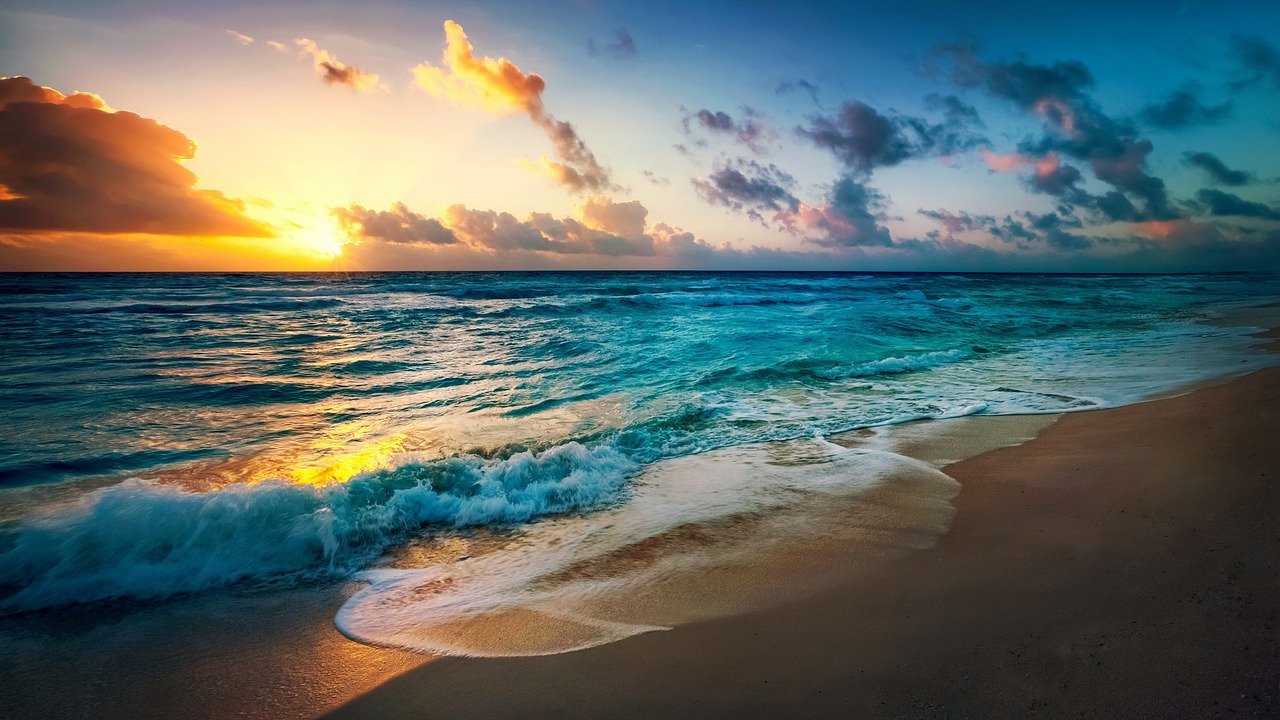 The Waves of Life