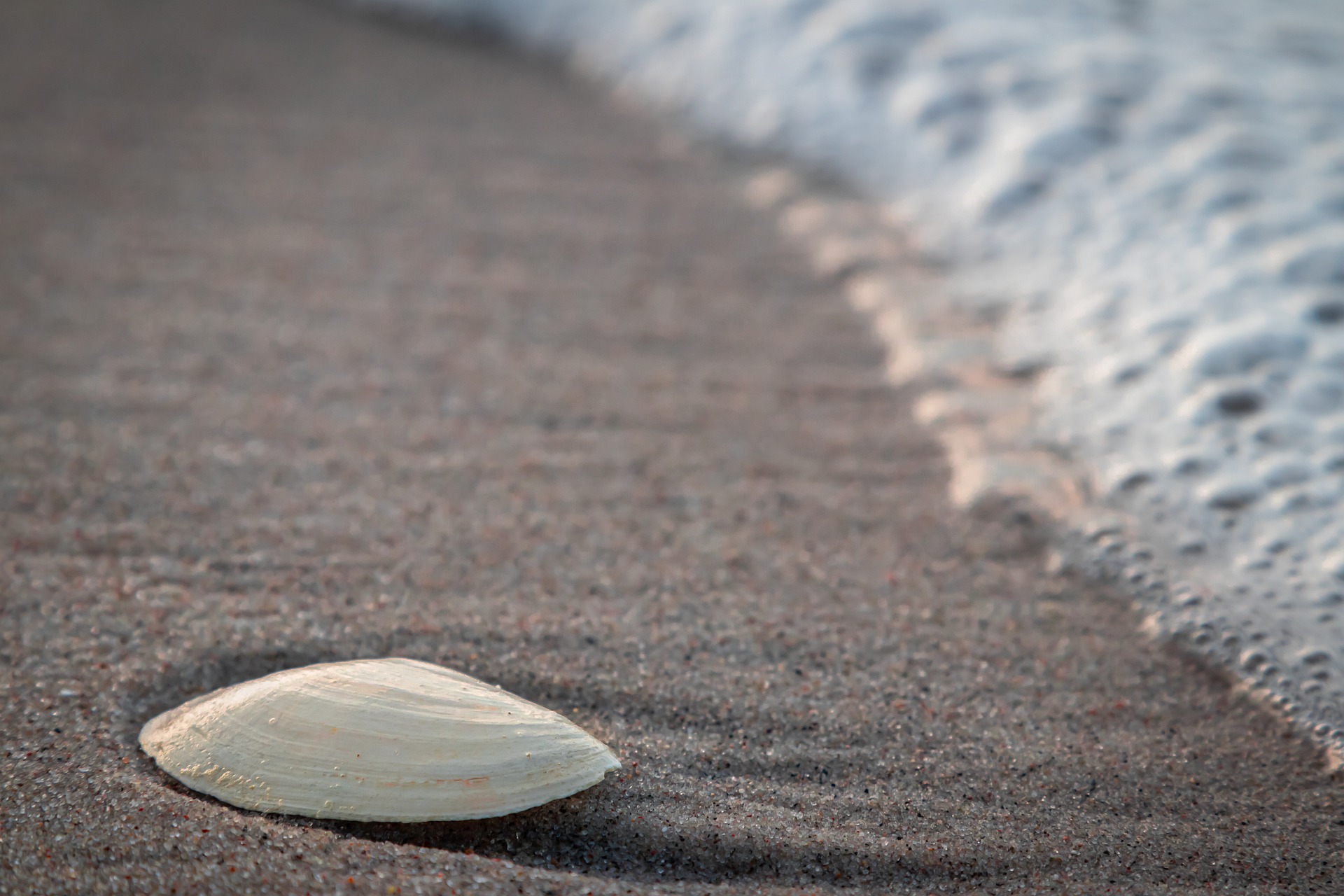 A Grain of Sand