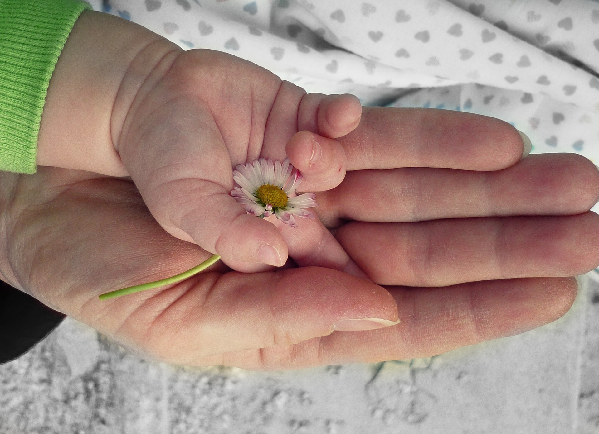 Blessed are the Peacemakers