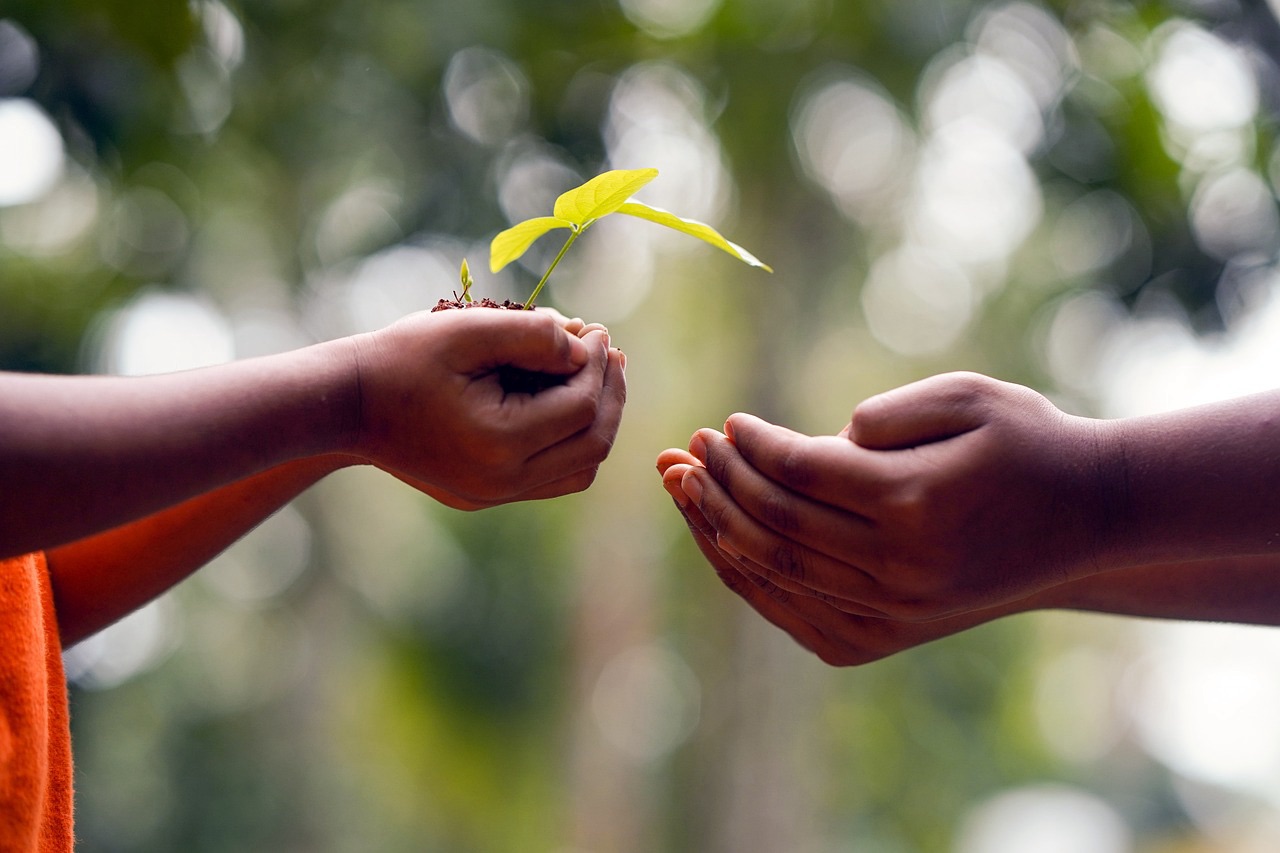 The Gift of Giving