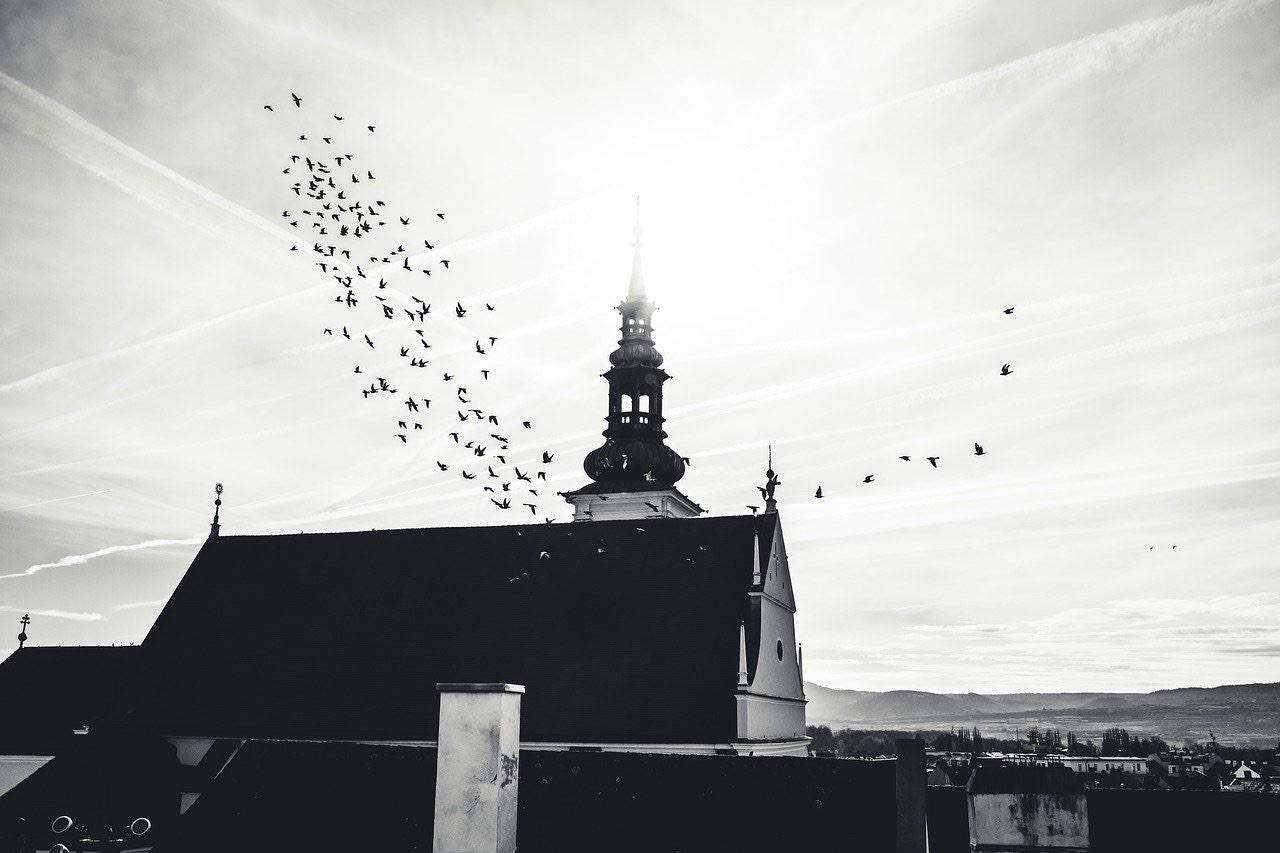 True Faith in Fear and Trembling