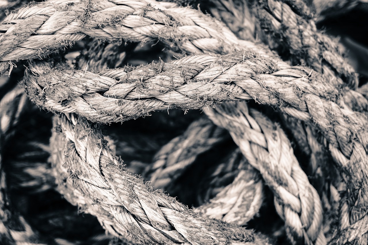 The Blame Game