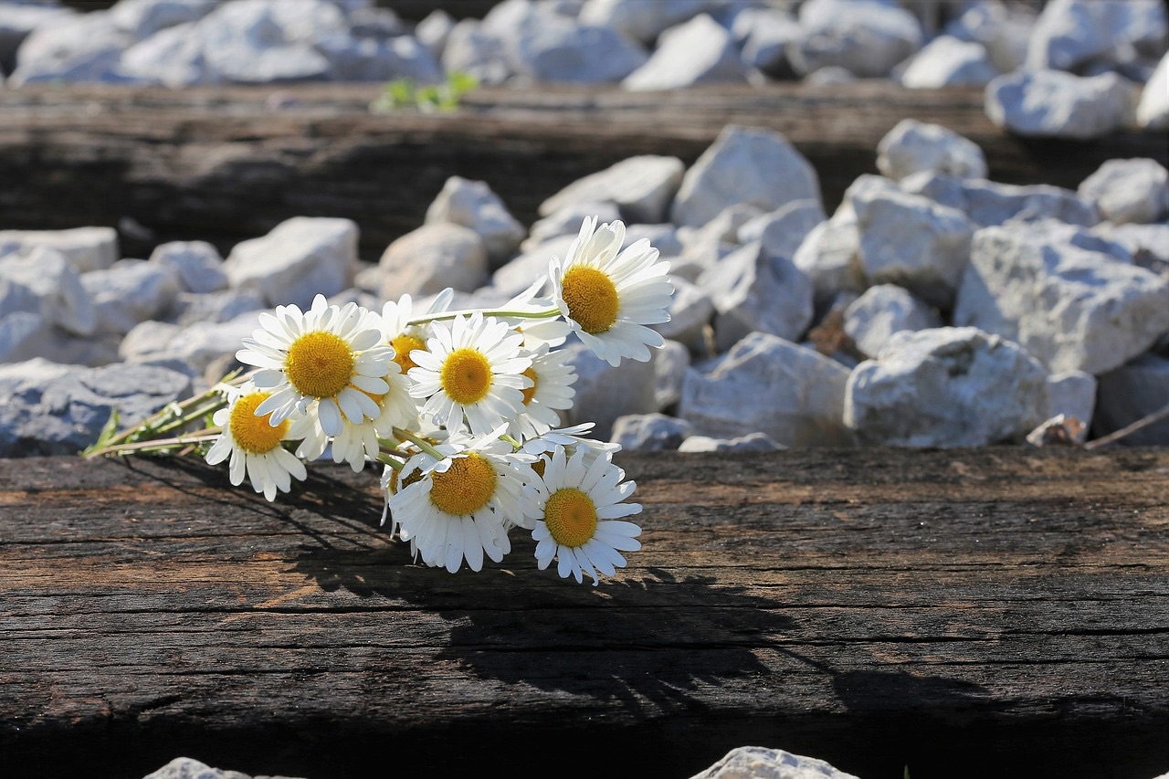 The Myth of Authorship