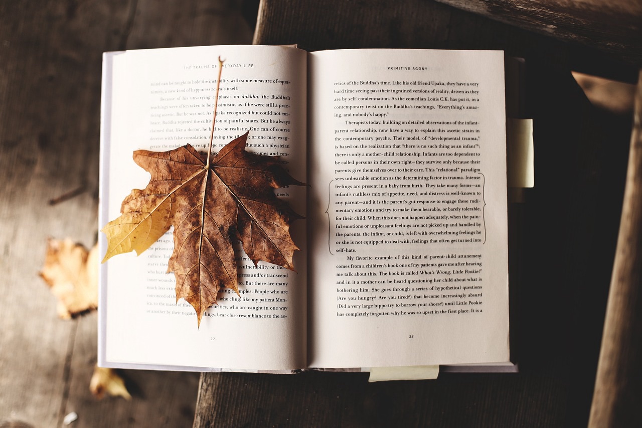 In the Era of Information Abundance