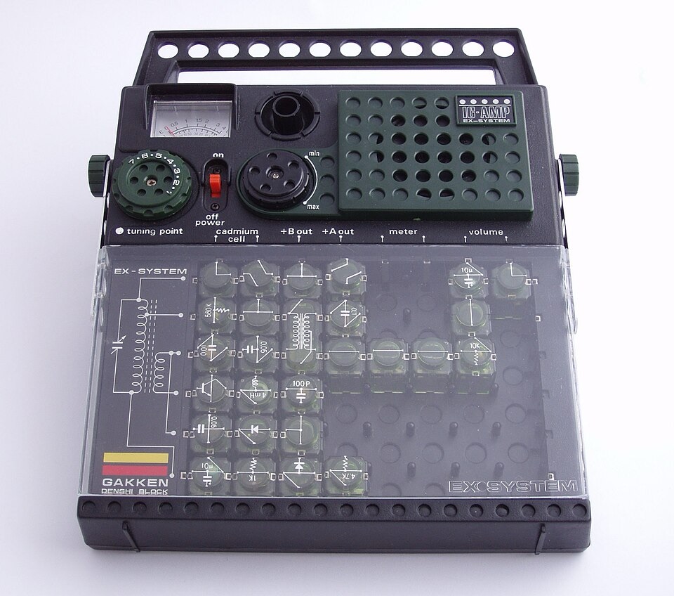 A Toy That Sparked a Life of Curiosity