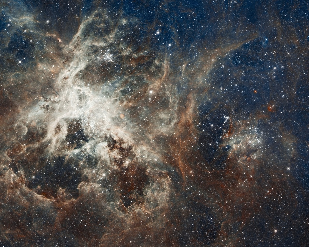 Emergence, Intelligence, and the Hidden Qualia of the Universe
