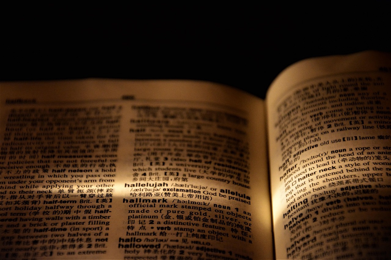 The Myth of the Perfect Language