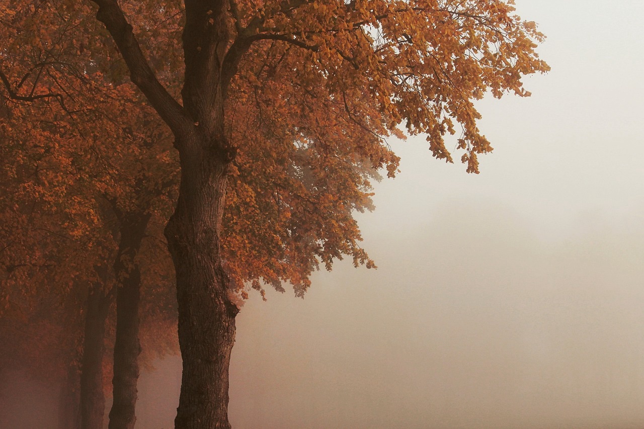 In the Presence of Mystery