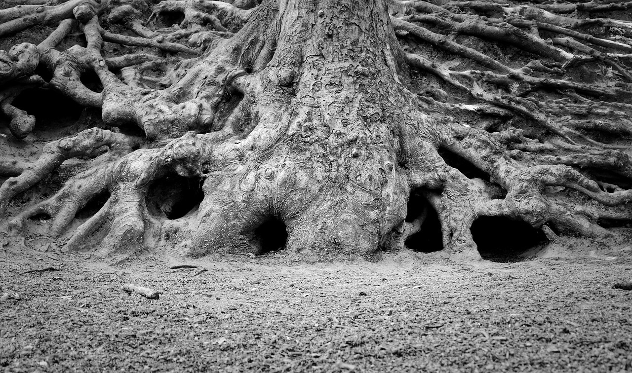 Revisiting A Thousand Plateaus