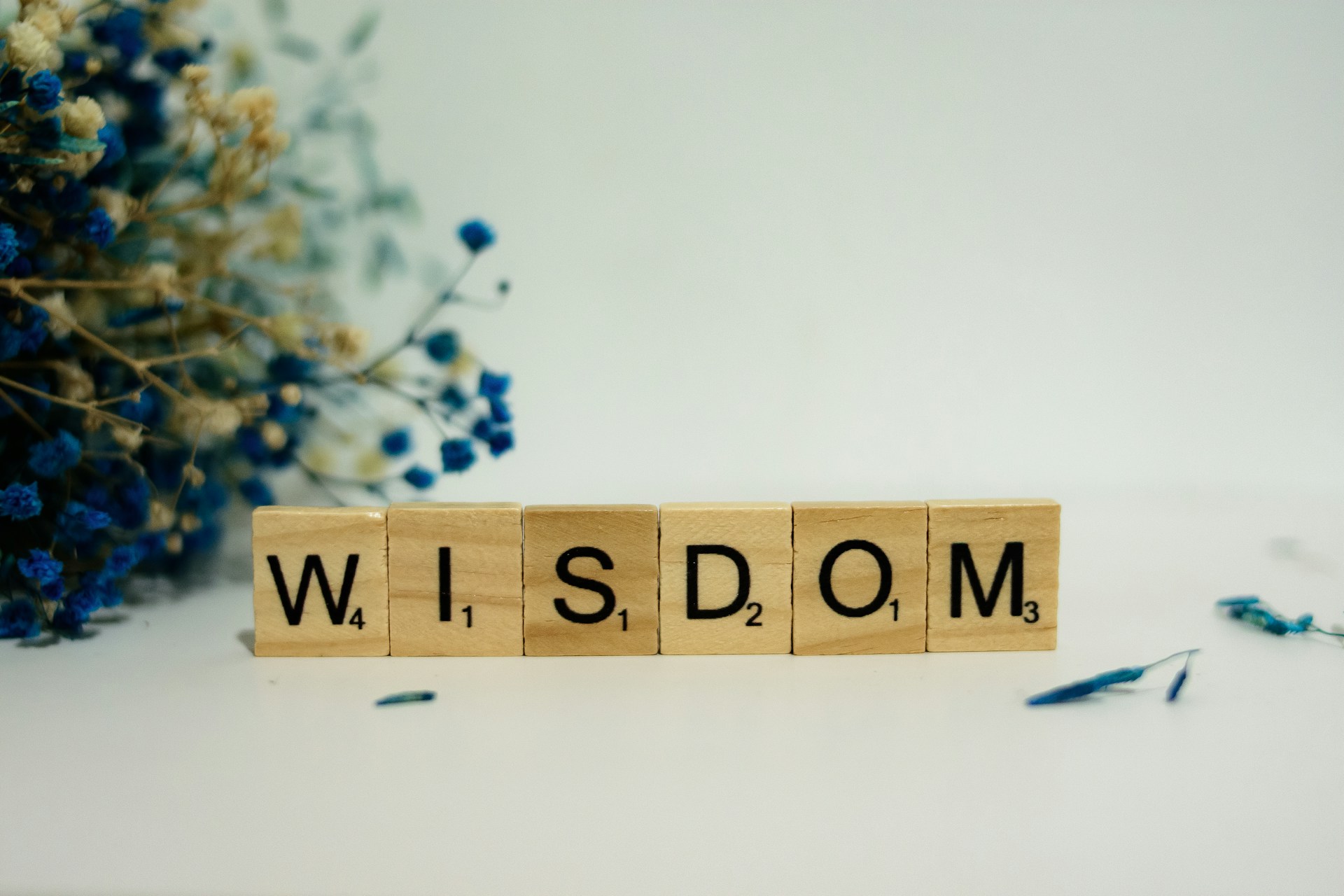 The Wisdom Gap