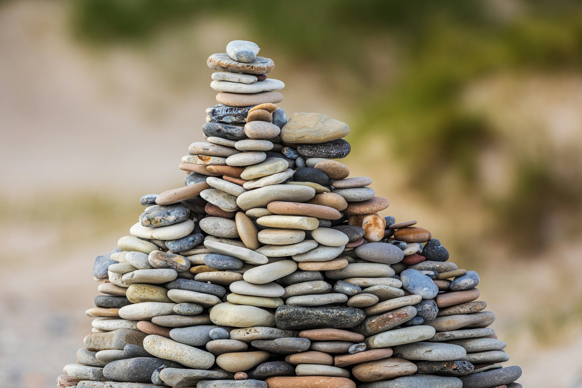 When Process Replaces Purpose