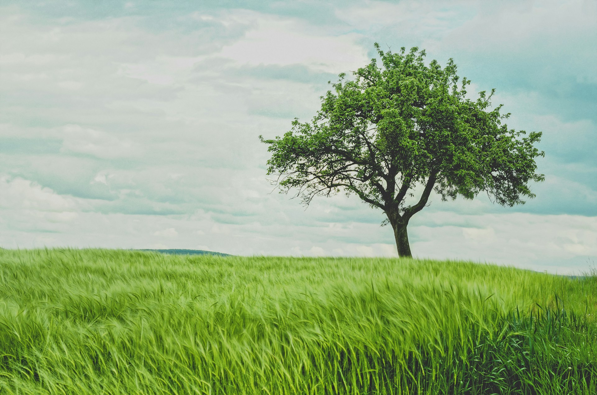 The Power to Do and the Wisdom to Stop