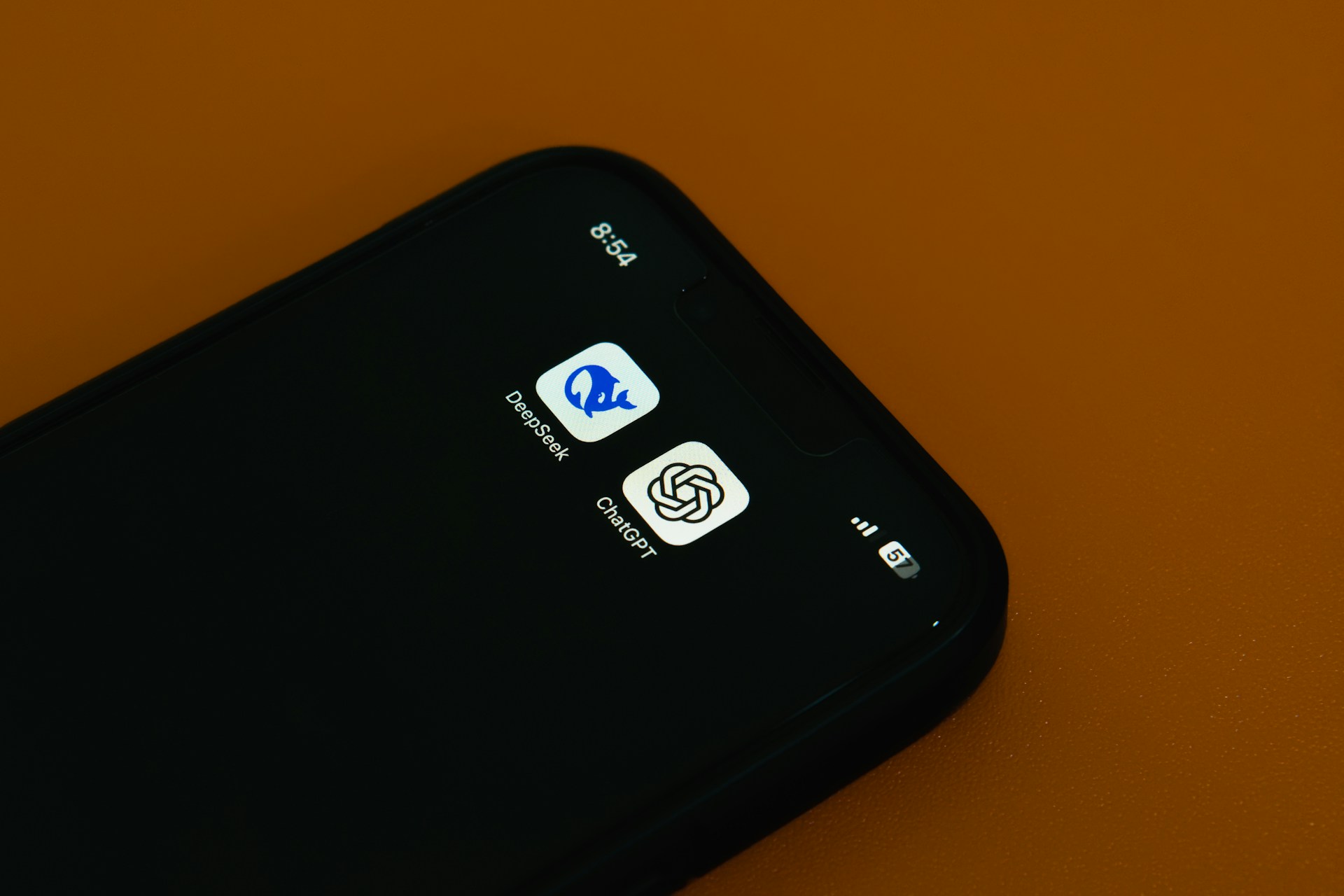 The Downloadable Mind