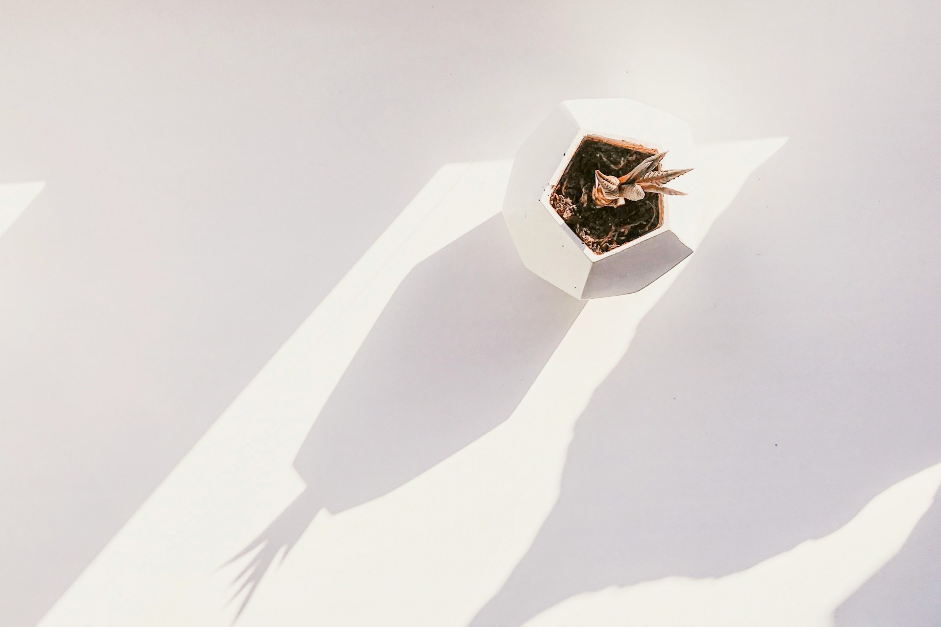 Toward the Century of Meaning
